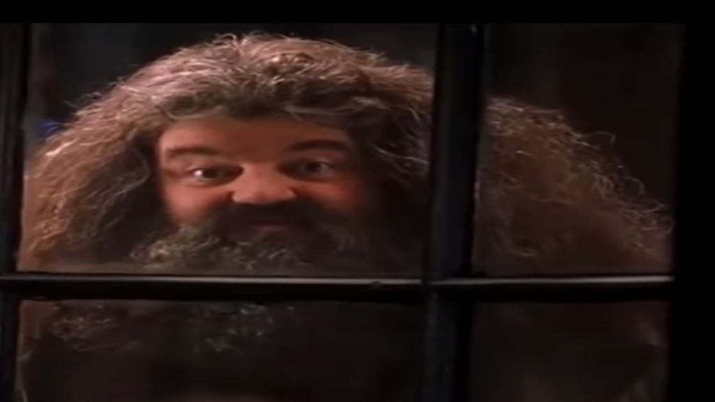 Harry Potter Actor Robbie Coltrane Dies